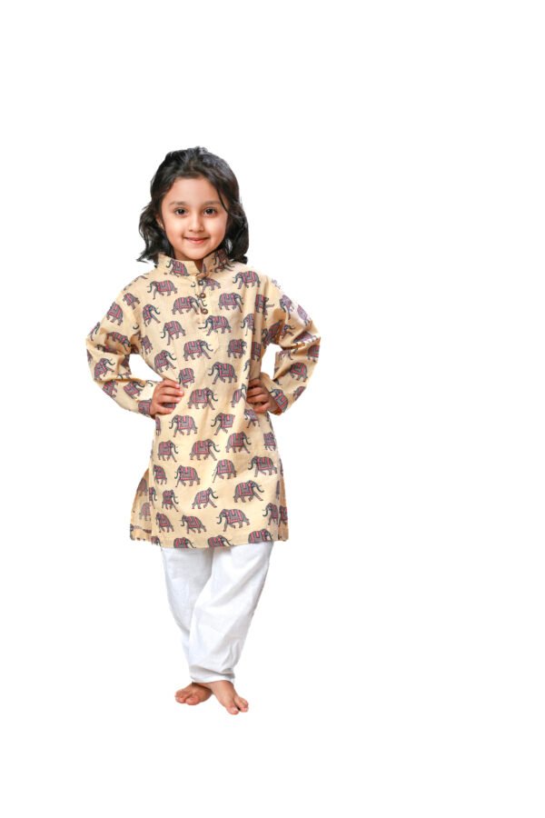 Jaipur Haathi Kurta Set